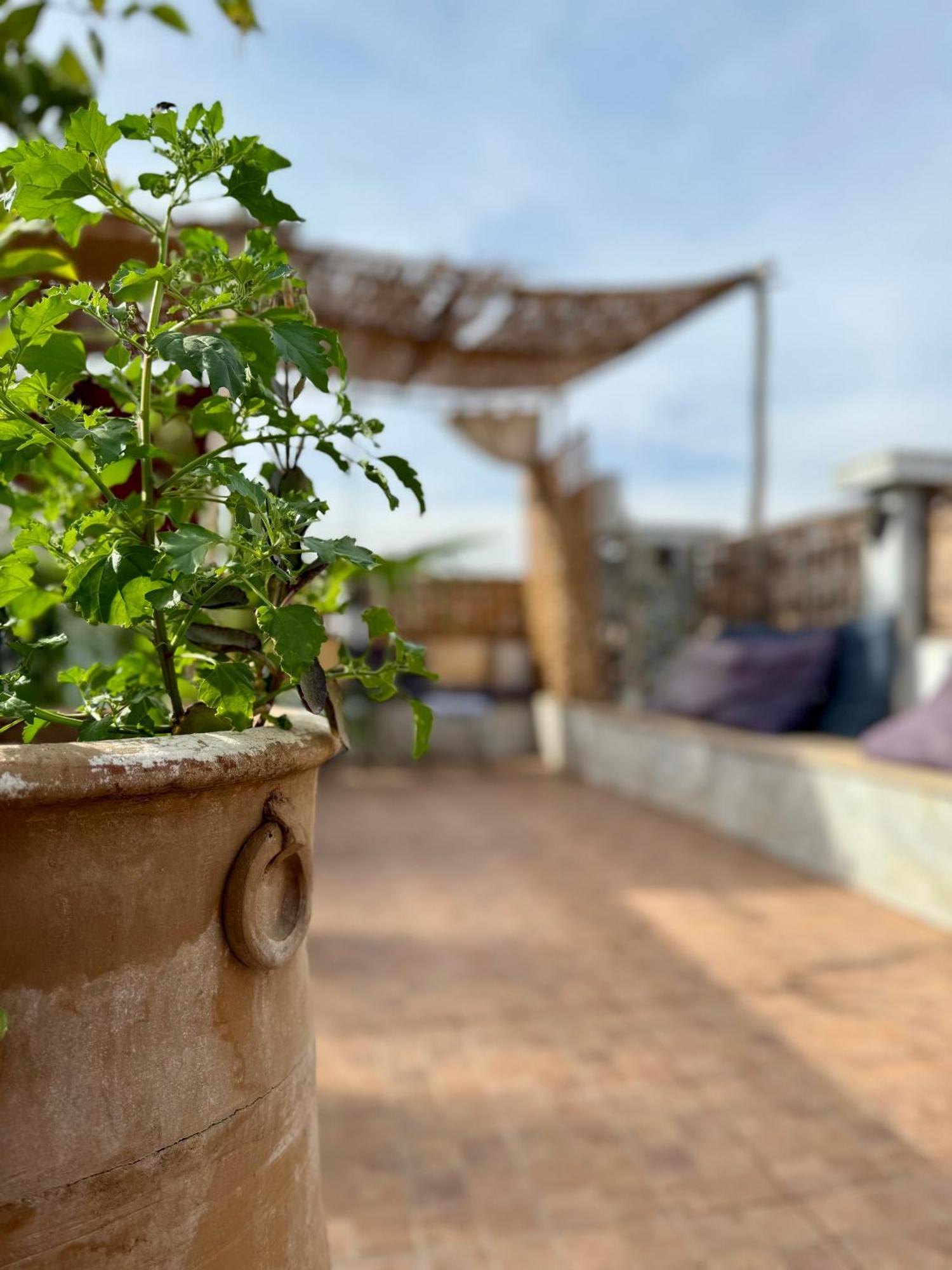 Riad Flottement Des Songes Μαρακές Εξωτερικό φωτογραφία